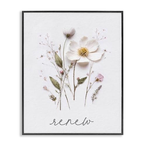 Poster encadré fleurs pressées Stupell Industries Renew blanc 50x40 cm