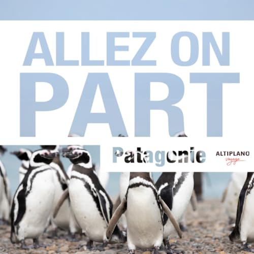 Croisi&egrave;re dans les canaux de Patagonie