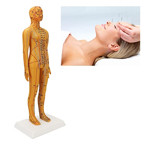 53cm Female Model, Human Body Acupuncture Model, Human Acupuncture Practice Skin Human Model for Chinese Teaching, Acupuncture, Massage (1pc)