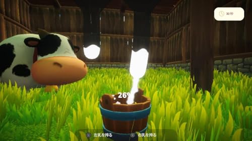 SOFTSOURCE『EverdreamValley』