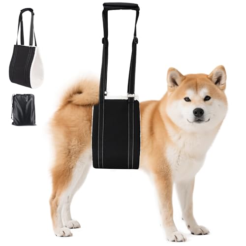 AIITLE �A�b�v�O���[�h ���p�X�����O�L�����A �~�f�B�A�� - �㎈�T�|�[�g�X�����O �q�b�v���p�b�h�t�� ���n�r�����⏕ �����/��Q�̂��錢�A���`�O�ȓI����&ACL��p�̉񕜂� (�u���b�N�AM)