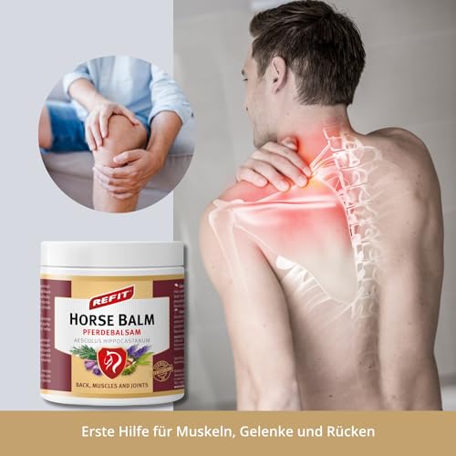 Wärmesalbe Refit Pferdebalsam XXL 500 ml – Schmerzgel zur Muskelentspannung