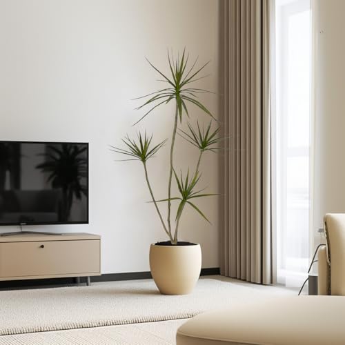 AfanD Artificial Dracaena marginata,5ft Tall Fake Plants Artificial Dracaena marginata Plants for Indoor, Fake Trees for Office Home Living Room Floor Patio Greening Porch Decor by AfanD - Used condition - Image 3