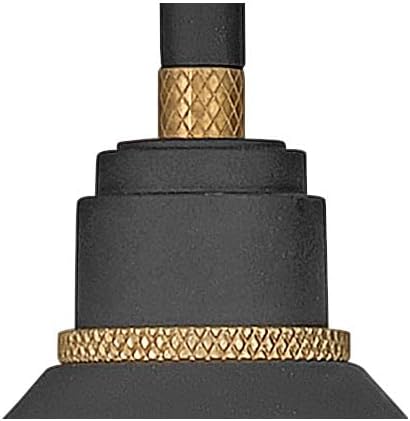 Hinkley Foundry Classic 10231TK Small Gooseneck Barn Light, Knurled Brass Accents, Dark Sky Compliant, Textured Black and Brass