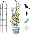 Obelisk Trellis for Garden Plants Climbing: 6ft Rustproof Metal Pipe with Plastic Coated - Potted Plant Climber Support for Outdoor Indoor Grape Vines Vegetable Fruits Flowers (2PC)