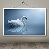 ☀ Perfect wall decoration painting for living room, bedroom, kitchen, office, hotel, restaurant, office, bathroom, bar, etc. It is a good gift for relatives and friends.