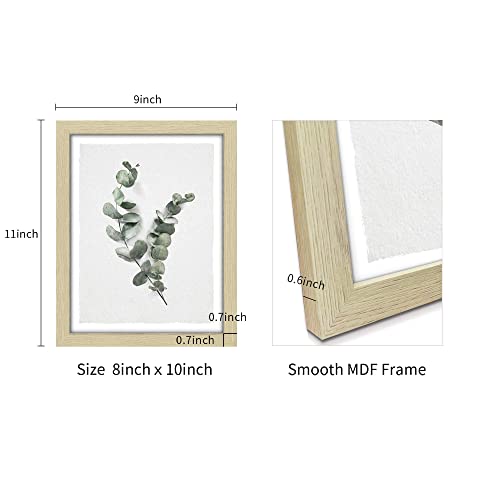 Framed Plant Wall Art Picture: Modern Bedroom Leaf Print Decor Boho Bathroom Living Room Sage Green Eucalyptus Painting 2 Piece Small Vertical Minimalist Nature Botanical Artwork #TOP6