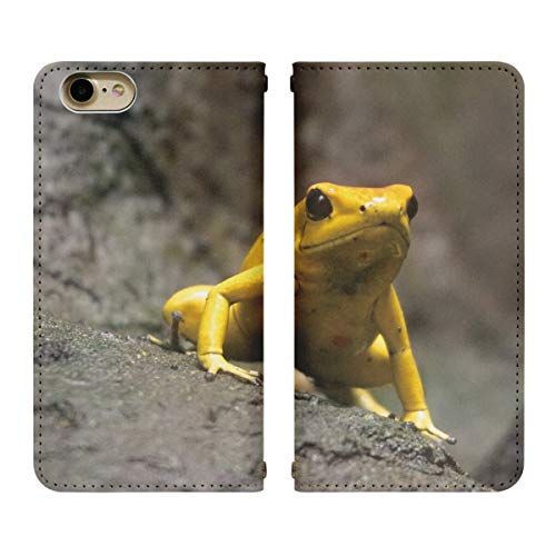 arrows We2 F-52E p P[X xgȂ 蒠^ Jo[ X}zP[X X}zJo[ bn705(B) JG ^ P tbO  gуP[X gуJo[