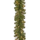 National tree 9 Foot by 10 Inch North Valley Spruce Garland with 50 Battery Operated Dual Color LED Lights (NRV7-302LD-9AB1)