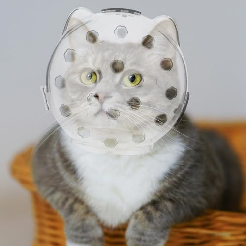 Casco transparente para gatos de material ABS resistente de alta gama 7