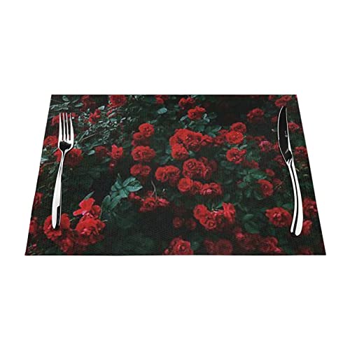 Sets de table tissés pour table de salle à manger repas chic rose - 5