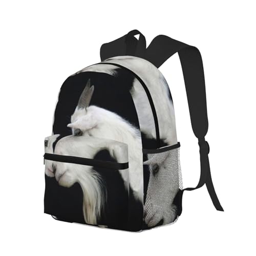 Sac à dos ordinateur portable voyage chèvre contre les chocs