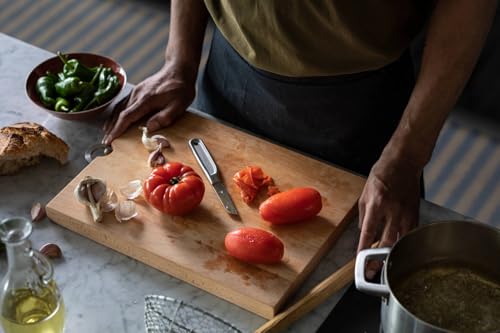 Fiskars All Steel Tomatenmesser, Gesamtlänge: 24 cm, Japanischer Aichi-Hartstahl, 1062888