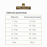 Wolfsblut - Wild Duck Adult – 2 kg – kaczka – sucha karma dla psów – bez zbóż