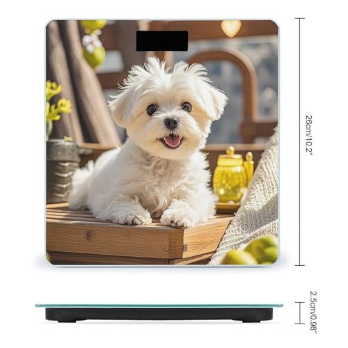 Báscula Digital para Baño Cute Maltese Puppy Dog miniatura 2
