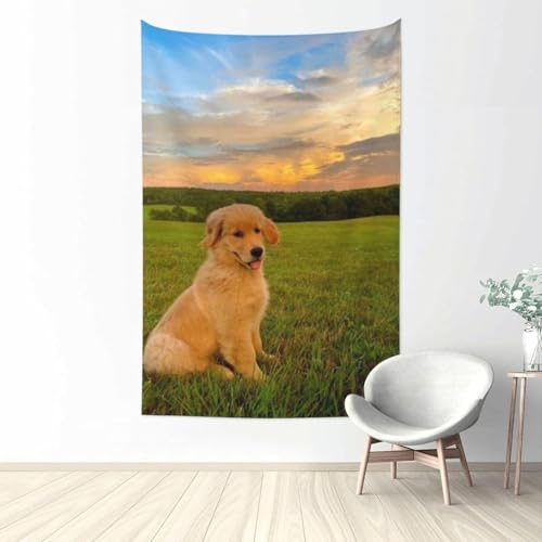 Aj wiz ^yXg[ t@ubNǏ v[g pi z[  |X^[