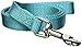 Zack & Zoey Basic Nylon Dog Leash, 4-Feet x 5/8-Inch Lead, Bluebird