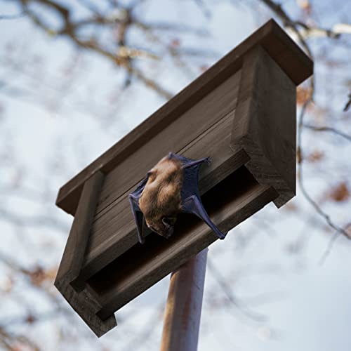 Relaxdays Bat Box, Large Safelodging for Wildlife HxWxD: 29x18x6, Animal Hotel, Sanctuary, Protect, Pine Wood, Brown - Image 3