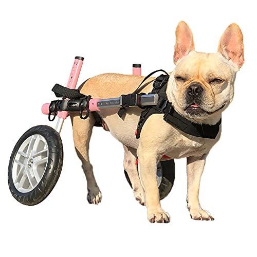 Walkin' Wheels Small Dog Wheelchair, Lightweight Dog Wheelchair For Back Legs, 15-25 Lbs, For 9-11 Inches Leg Height - Pink #TOP9