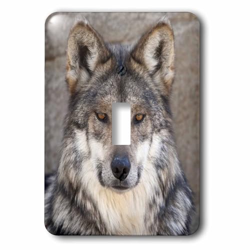 Interrupteur loup de Brenda Tharp 3dRose lsp_83695_1 unique - 2
