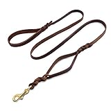 Wellbro Luxury Genuine Leather Double Handle Dog Leash, Braided Training Lead with Traffic Handle, Easy Control and Heavy Duty, 1.8cm Width by 6ft Length, Brown