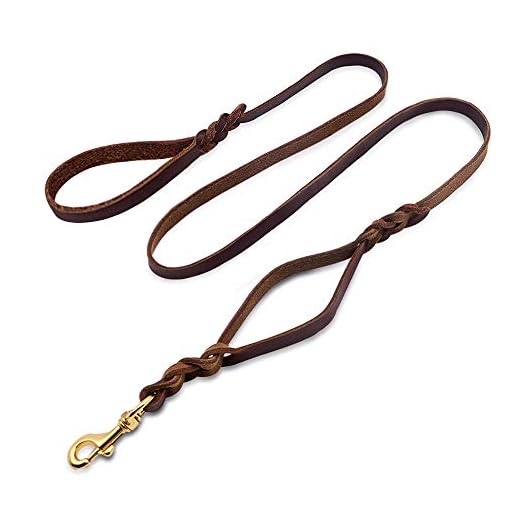 Wellbro Luxury Genuine Leather Double Handle Dog Leash, Braided Training Lead with Traffic Handle, Easy Control and Heavy Duty, 1.8cm Width by 6ft Length, Brown