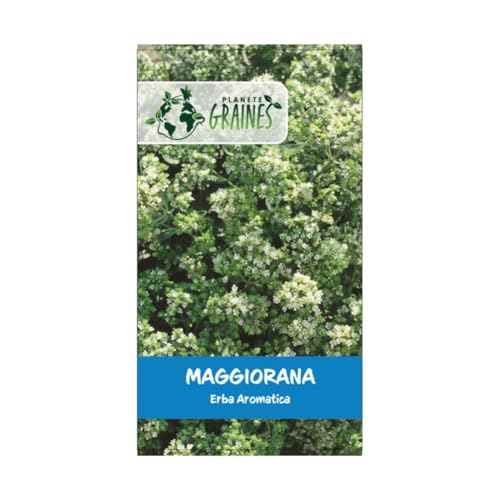 250 Semi di Maggiorana Aromatica e Saporita - Timo dei giardini