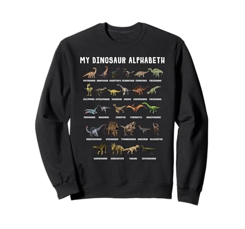 Types Of Dinosaurs Alphabet A-Z ABC Dino Identification Sudadera