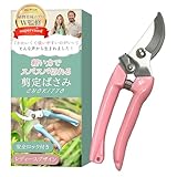 【植物育成のプロW監修】剪定バサミ（レディースデザイン）スパスパ切れる！軽量で握りやすい！（安全ロックあり）「CHOKITTO」 (ピンク, 17.5cm)