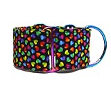 Martingale Hundehalsband: Crazy Hearts, handgefertigt in Spanien von Wakakakan