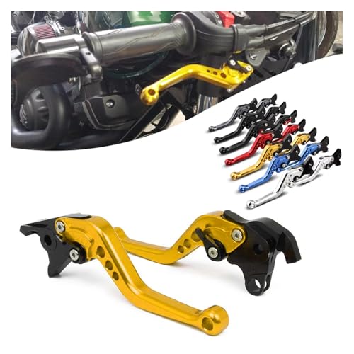 Levier d'embrayage fatigué ? Commandes CNC or Triumph Daytona 675 - 2