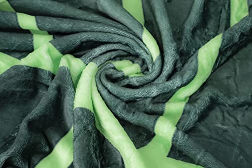 Healthycewpstr Leaf Blanket Throw Green Plant Print Throw Blanket Leaves For Couch Bed Sofa Decorative Great Gifts For Plant Lovers Big Leaf Blankets Size 63X87 Inches #TOP4