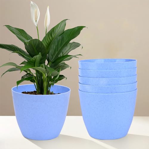 Image of Kuber Industries Pack of 6 Flower Pot | Flower Pot for Living Room-Office | Flower Planters for Home-Office-Lawns & Garden D?cor | Flower Planters Pots for Balcony | Marble Cool | 5 Inch | Blue
