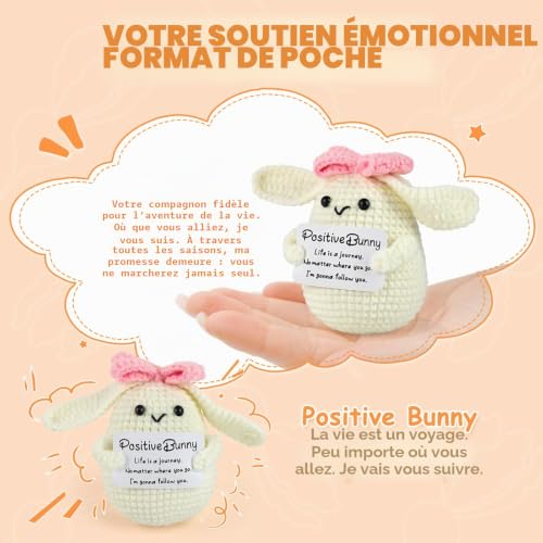 Peluche Positive Lapin & Carotte personnalisée PINYUE