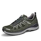 DYNA PU Lowa 310611 7810 Innox EVO GTX LO Oliv/Silber Größe 44 EU Grün (Oliv/Silber)