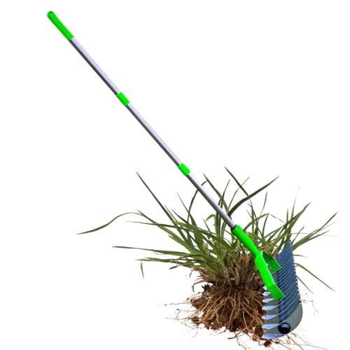 Rastrillo de césped - Herramienta de jardín de Acero Resistente con Mango cómodo, rastrillo de Hojas para jardín, terraza, Patio, jardín, balcón, , acera, Acceso