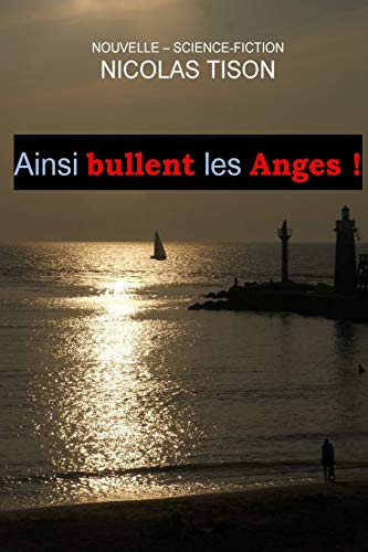 Ainsi bullent les Anges (French Edition)