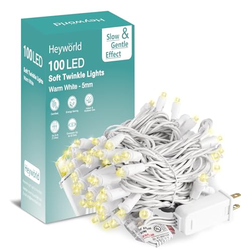 Heyworld Slow Twinkle LED Christmas Lights, 100 LEDs, 27ft