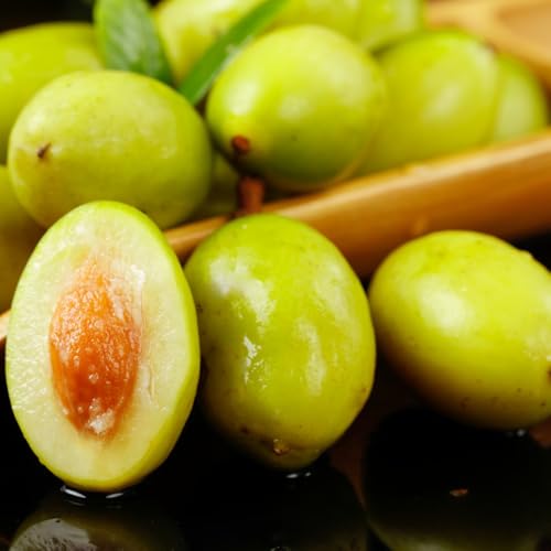 olivenbaum winterhart - stauden mehrjährig, gewächshaus balkon hochbeet 12samen