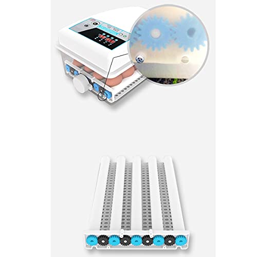 QHYTL Ei-Inkubator 6 Gitter Eier Digitaler Inkubator Temperatur Hausfrauen Automatische Mini-Hähnchen-Enten-Gänse-Vögel… – Bild 5