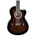 IbanezGA35TCEDVS Thinline Acoustic-Electric Classical GuitarDark Violin Burst