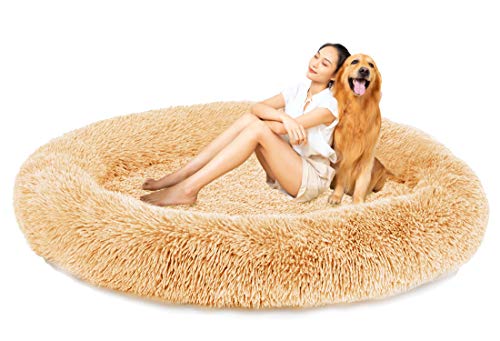 jHuanic XXL Extra Large Lit pour Chien Grande Taille,Comfy Panier Chien Lavable XL,Coussin Chien Orthopedique Anti Stress XXXL,Panier pour Chien Animal Moyen Taille (100cm/39.3inch,Beige) Cover