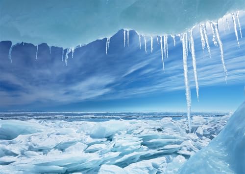 Fond Blocs de Glace Transparents 2.7x1.8m pour Fête Thème Nature Hivernale