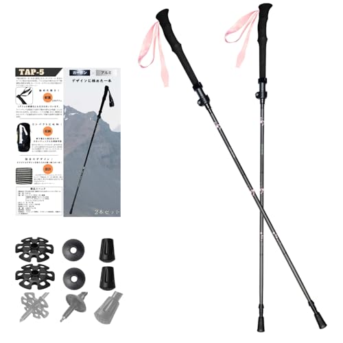 FUJIKAZE gbLO|[ oRXgbN 3KJ[{ ܂肽ݎ 2{Zbg RpNg[ TAP-5 g EH[LO|[ mfBbN|[ nCLO oR  y y 190g h~t@XgbN yʐ gѐ ֐d