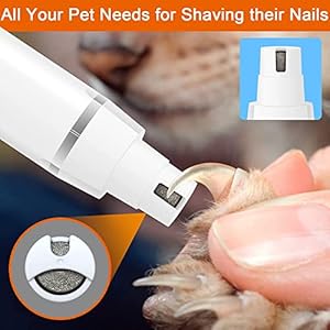 Dog Clippers Grooming Kit Hair Clipper-Low Noise Paw Trimmer- Rechargeable - Cordless Quiet Nail Grinder Shaver for Cats and Other Pets Dog Clippers Grooming Kit Hair Clipper Low Noise Paw Trimmer Rechargeable Cordless Quiet Nail Grinder Shaver for Cats and Other Pets