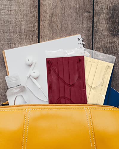 Fricare Disposable Individually Wrapped Face Masks 4 Ply 50Pcs, Colorful Breathable Safety Mask For Adults Women Man #TOP4