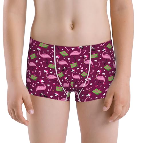 Boys' Cotton Boxer Brief Soft Underwear-Festive Flamingos