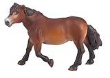  Pony Exmoor