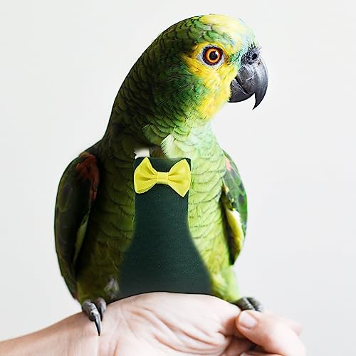 POPETPOP Fralda De Pássaro - Roupa De Vôo De Pássaro Fralda De Papagaio Roupa De Pássaro Fralda De P