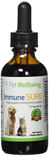 Pet Wellbeing Inmunológico Seguro para Los Gatos - 2 Oz (59 Ml)